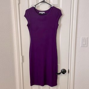 NWOT Bright purple bodycon dress short sleeves sz small